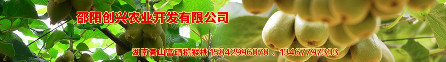 邵陽(yáng)創(chuàng  )興農業(yè)開(kāi)發(fā)有限公司 湘蕾金銀花苗 優(yōu)質(zhì)獼猴桃苗 獼猴桃苗批發(fā)價(jià)格 湖南金銀花苗 